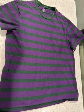J Crew Purple & Green Striped Crewneck Tee